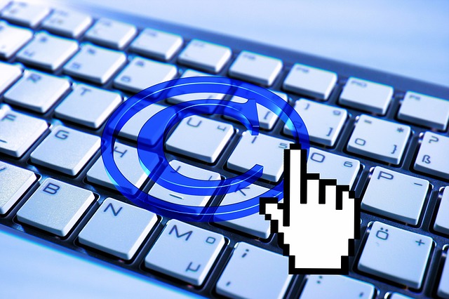 Copyright Laws and the Internet